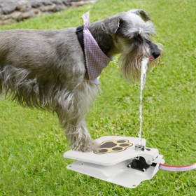 Pet Stepping Water Heater Dog Dog Automatic Water Fed Water Fed Cats And Dog Fountain Water Dispenser Drink Water Pets